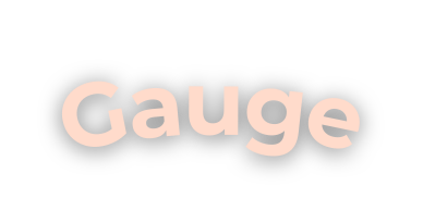 Gauge