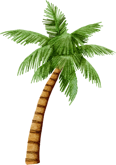 watercolor coconut tree